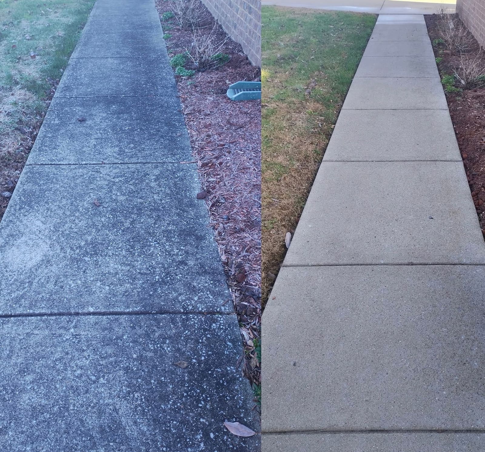 Algae-covered sidewalk before pressure washing and bright clean sidewalk after